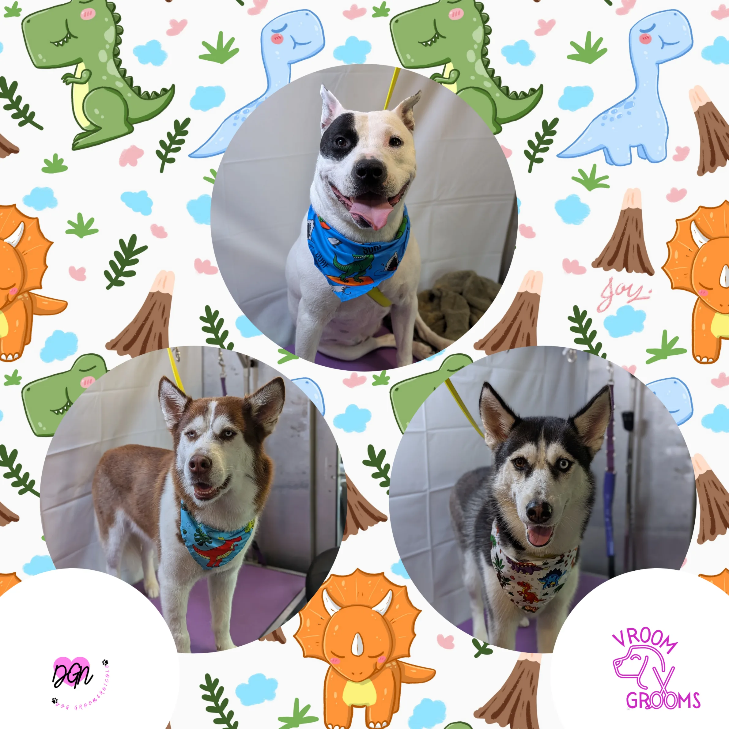 Dogs of the Day — Friday, May 15th