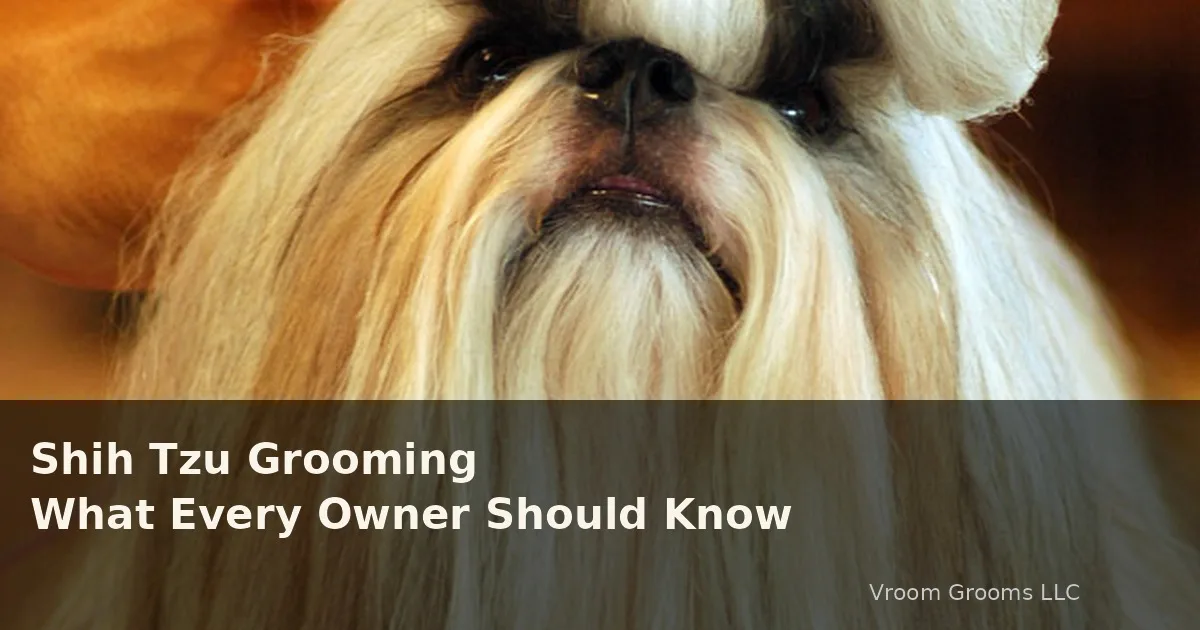 Shih Tzu Grooming: Beyond the Topknot
