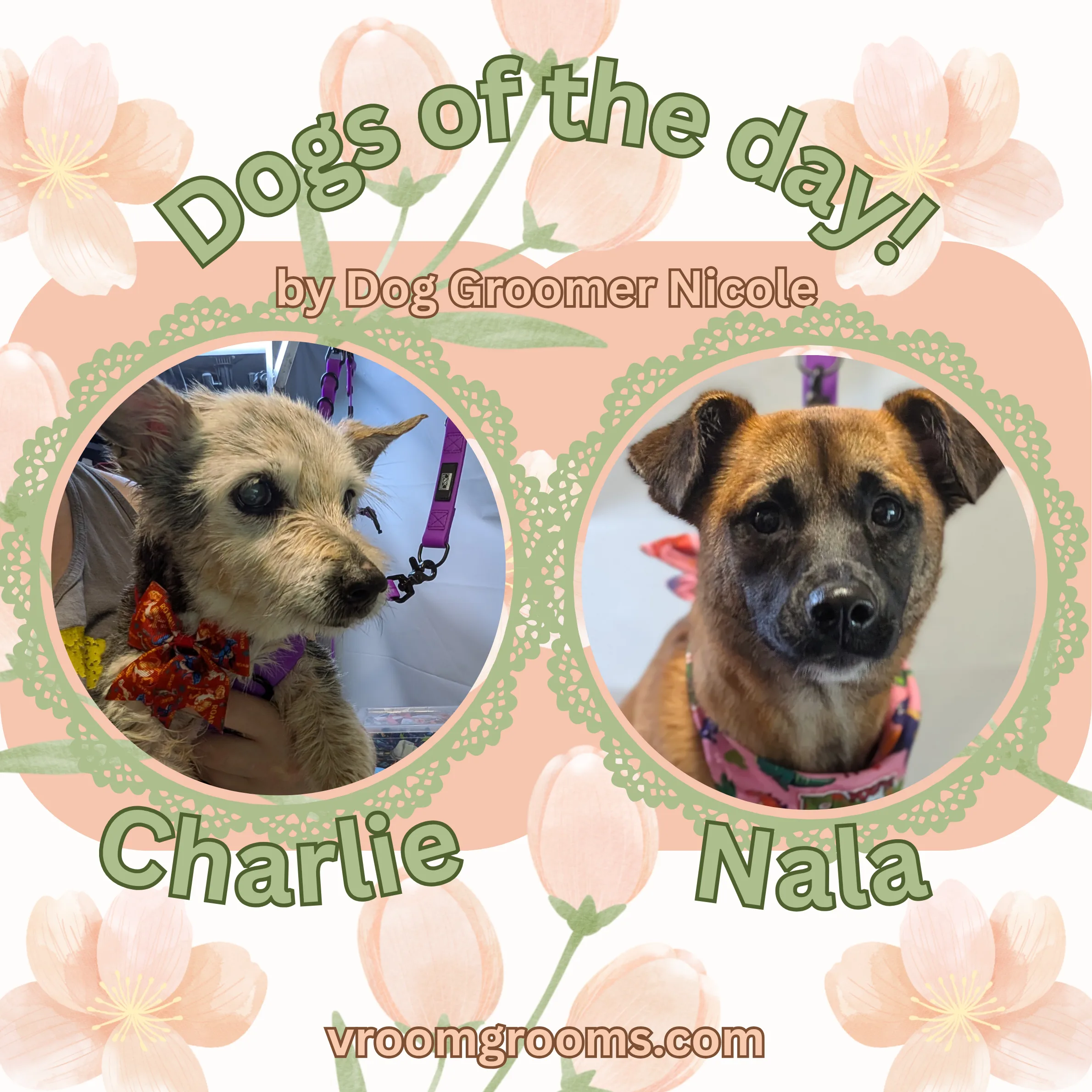 Dogs of the Day: Meet Charlie & Nala! 🐾