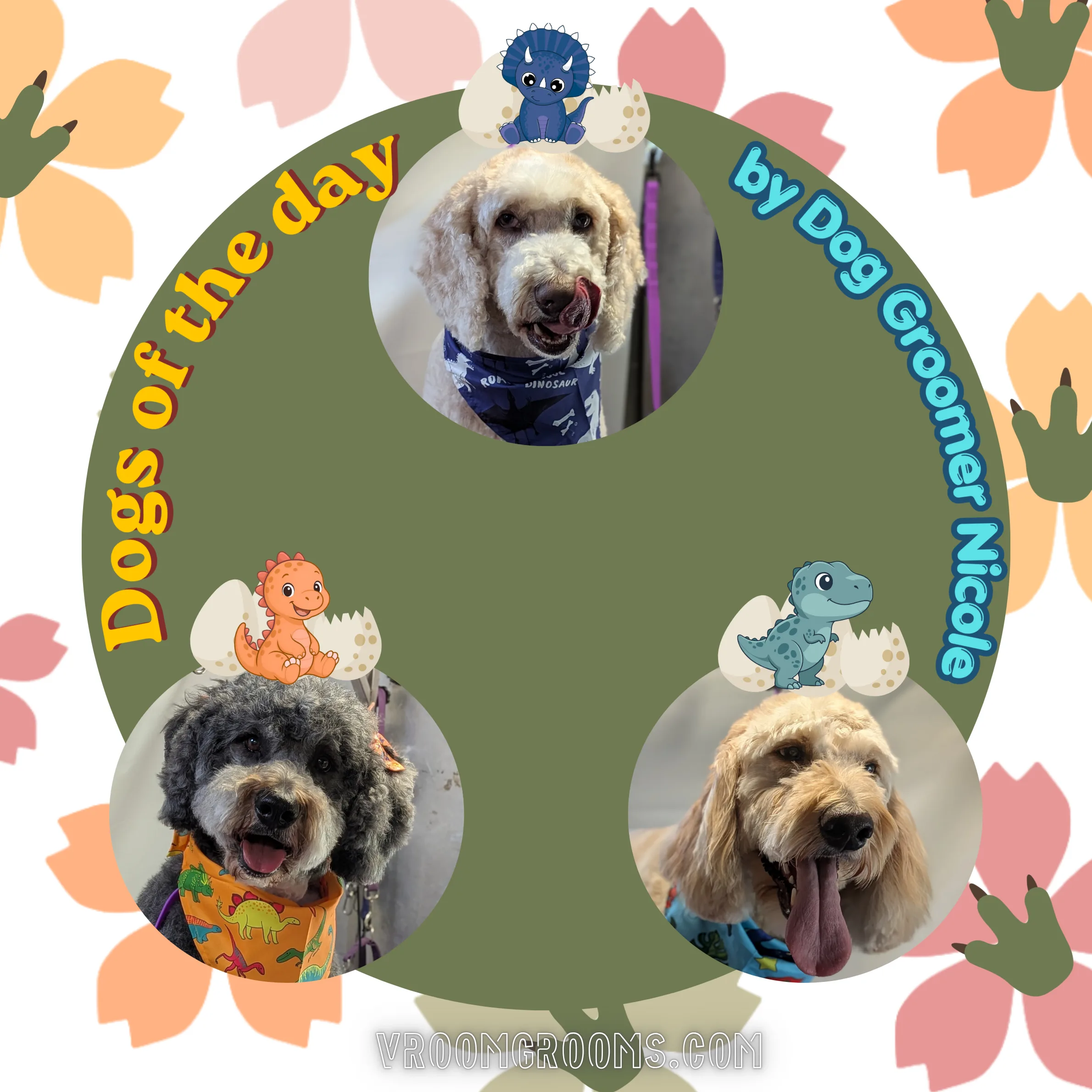 🐾 Dogs of the Day: Monday, June 9th 🐾