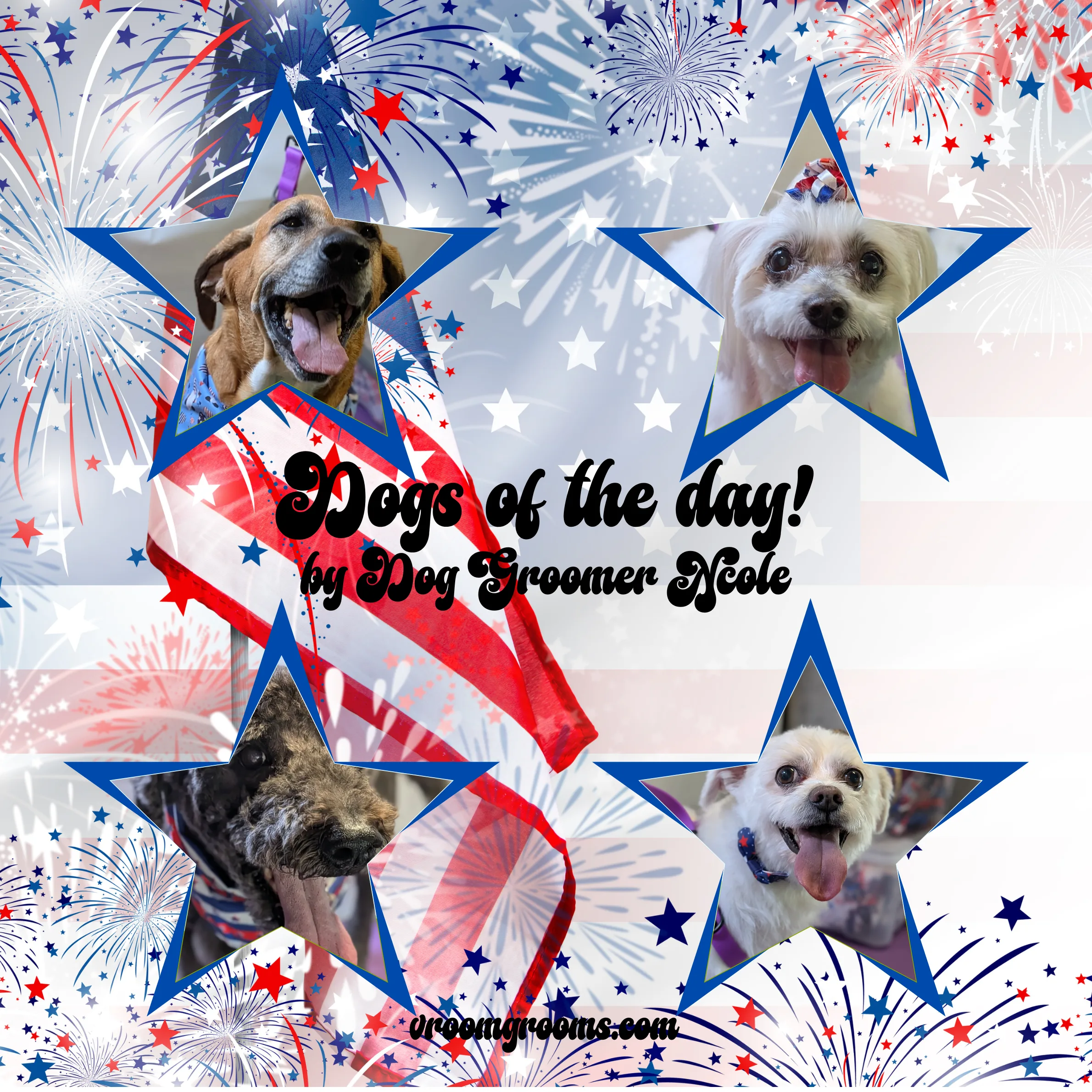 Vroom Grooms LLC: Dogs of the Day – July 2nd & 3rd
