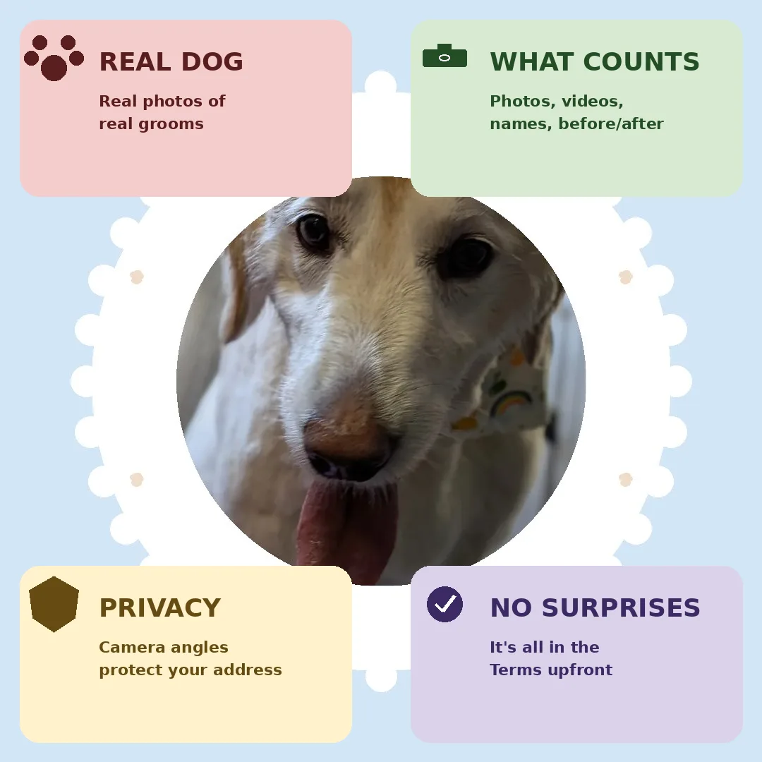 Why Photos and Videos of Your Dog May Be Used in Vroom Grooms Content