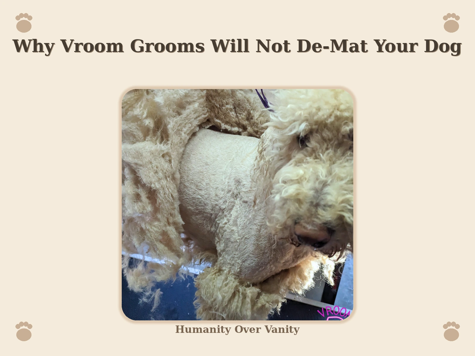 Why Vroom Grooms Will Not De-Mat Your Dog