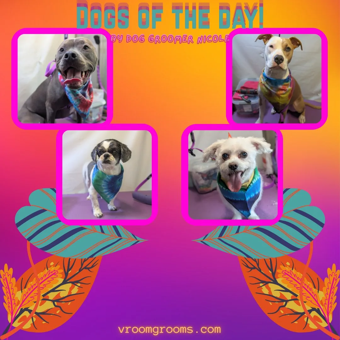 Dogs of the Day: Wednesday, September 9th