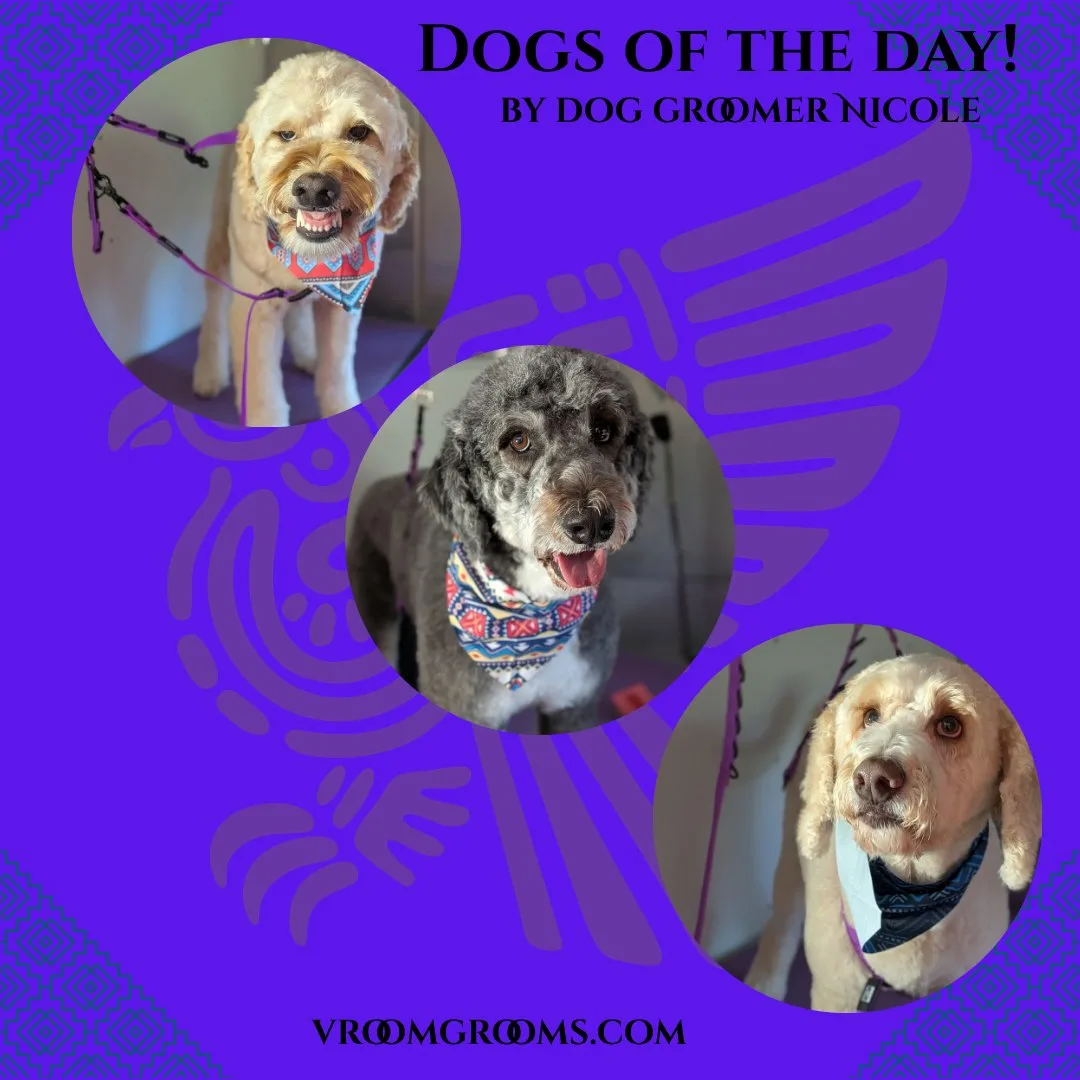 Dogs of the Day: Tuesday, October 6th