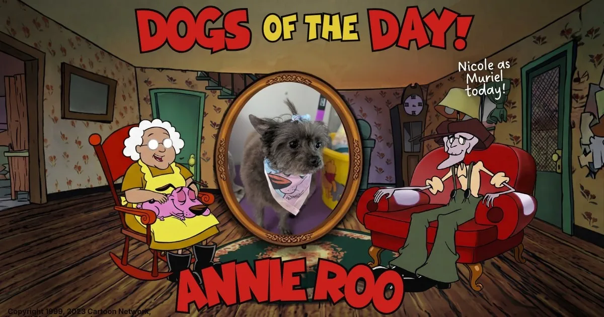 Annie Rue, a small gray shaggy terrier with pointed ears, wearing a pale pink bandana with blue trim and a light blue bow.
