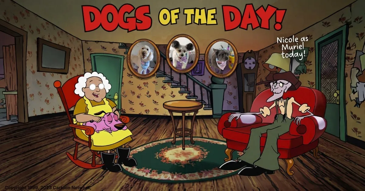 Dogs of the Day: Tuesday, October 27th