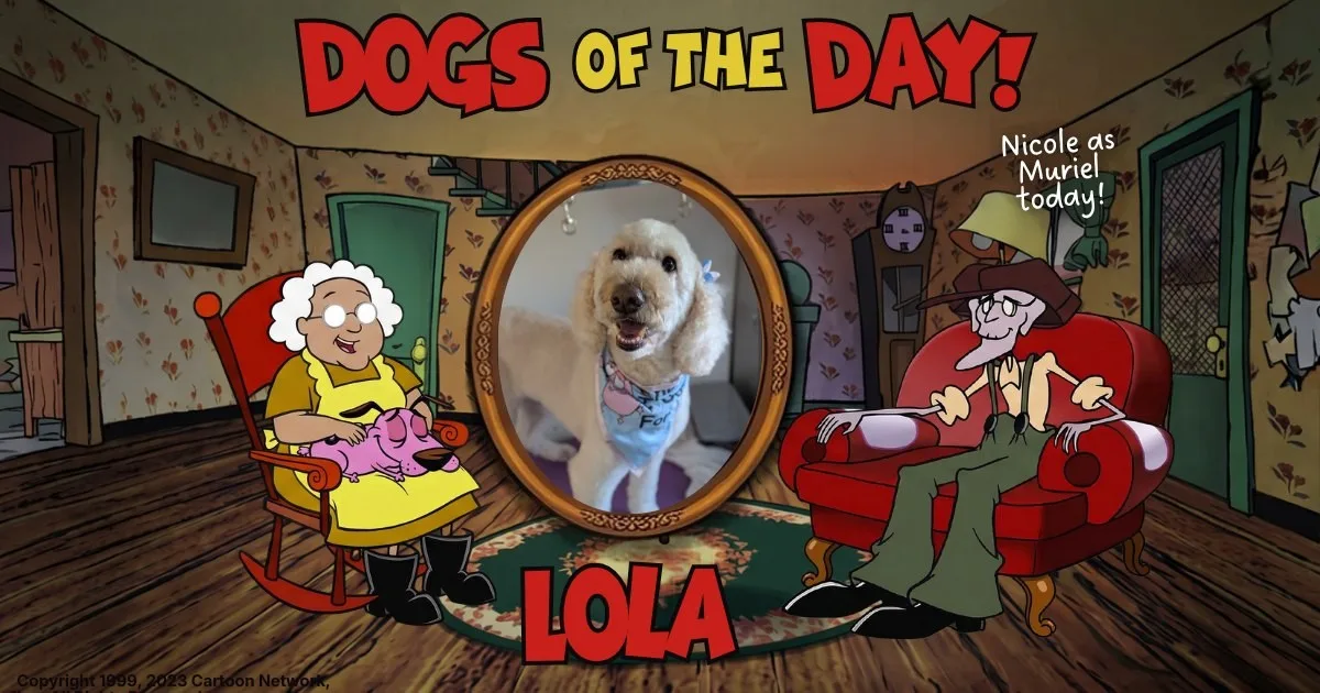 Lola, a cream colored curly coated doodle with floppy ears, wearing a light blue bandana with a pink pattern and a blue bow.